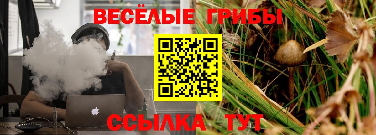 Псилоцибиновые грибы Magic Shrooms Ангарск